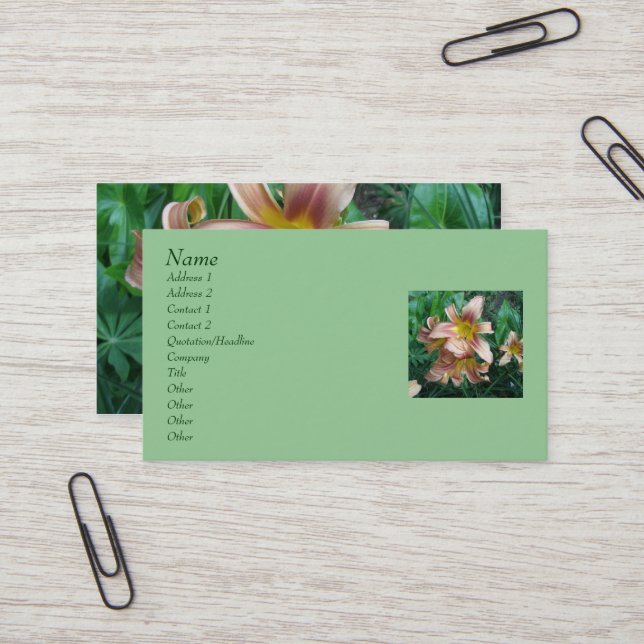 Cartões de visitas Peach Daylily (Frente/Verso In Situ)