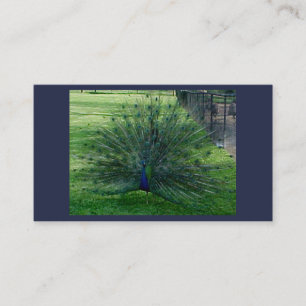 Cartões de visitas Peacock