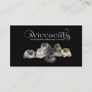 Cartões de visitas pequenos WiccaCats
