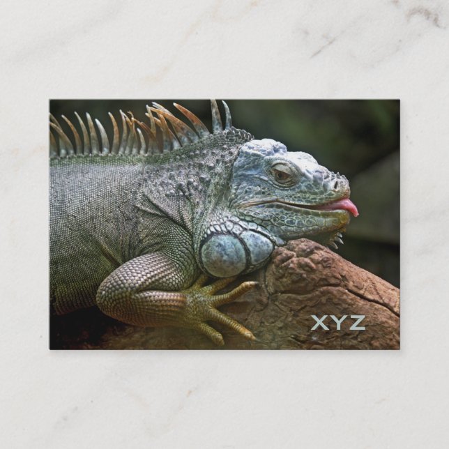 Cartões de visitas personalizados do Iguana (Frente)
