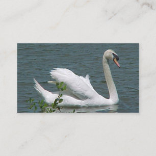 Cartões de visitas Swan