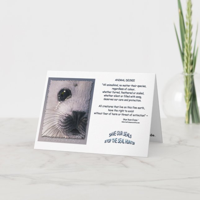 Cartões "DECRETO ANIMAL" (Frente)