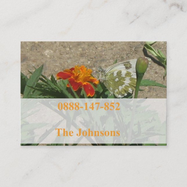 cartões do contato da família (Frente)