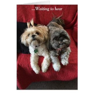 Cartões do dia a dia/ Grace e Glória