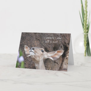 cartões do jardim zoológico, aniversário, eu