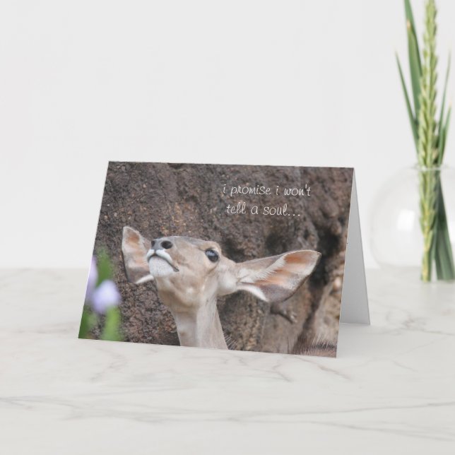 cartões do jardim zoológico, aniversário, eu (Frente)