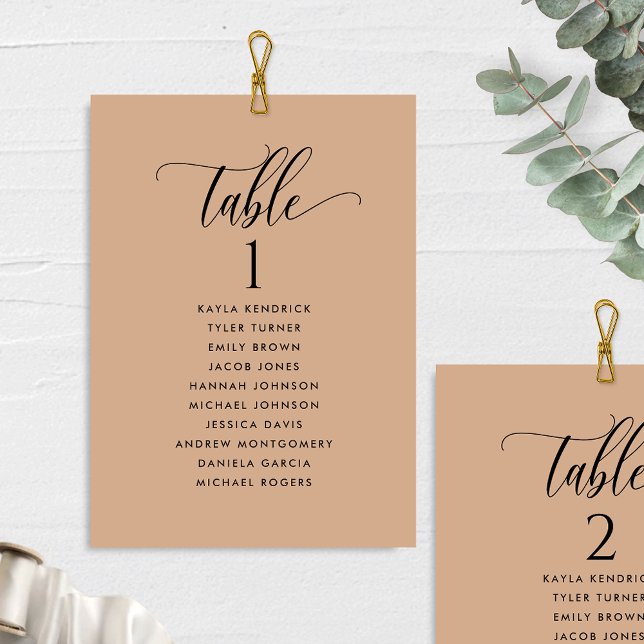 Cartões do Plano de Sessão Terracotta com Nomes de (Criador carregado)