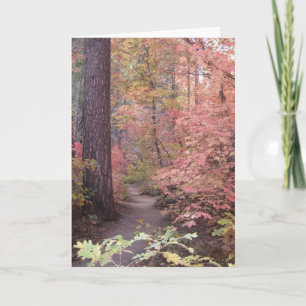 Cartões do silêncio & da doçura (1)