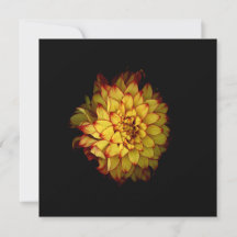 Cartões e Cartões de Agradecimento Dahlia