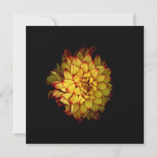 Cartões e Cartões de Agradecimento Dahlia