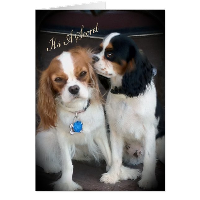 Cartões "É um Segredo" do Partido Surpresa (Frente)