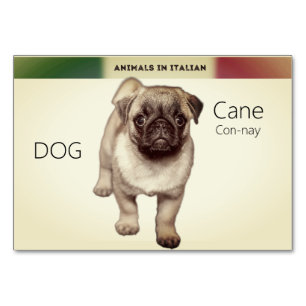 Cartões em língua italiana Cachorro Animal Flash  
