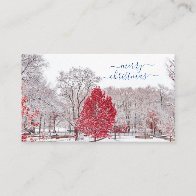 Cartões Feliz de Natal (Frente)