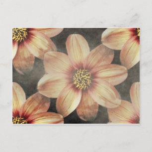 Cartões Florais Gentel Pastel