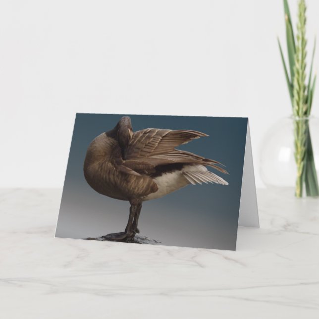 Cartões Gansos do Canadá Cartões Gansos (Frente)