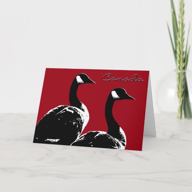 Cartões Gansos do Canadá Cartões Gansos (Frente)