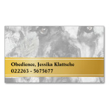 Cartões Magnéticos