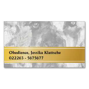 Cartões magnéticos