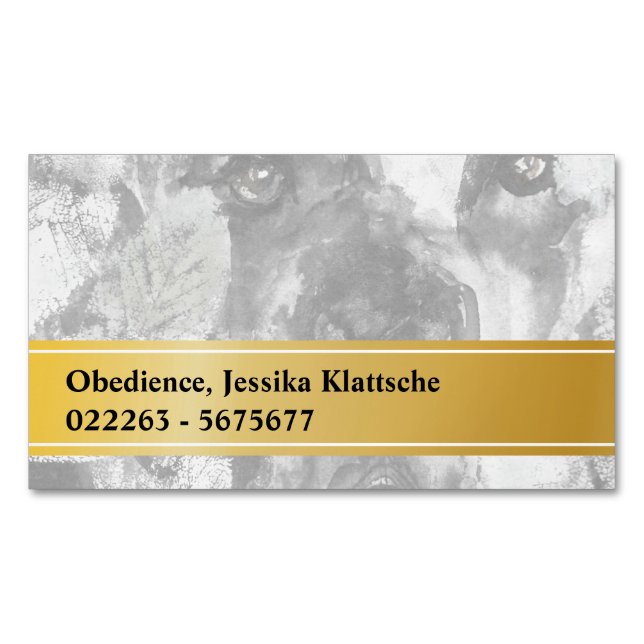 Cartões Magnéticos (Frente)