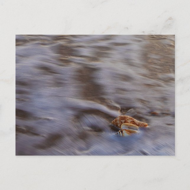 Cartões marítimos em Surf (Frente)