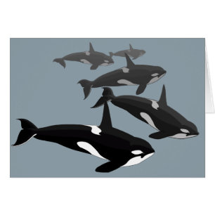 Cartões Orca Personalizados De Arte De Baleia Ass