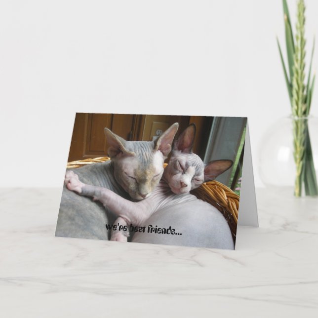 Cartões para amantes (Frente)