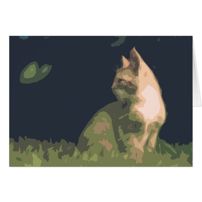 Cartões para animais (Frente Horizontal)