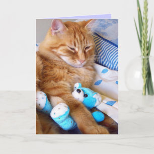 Cartões para gatos vazios