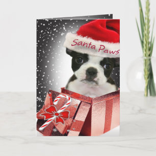 Cartões para Papais noeis de Boston Terrier