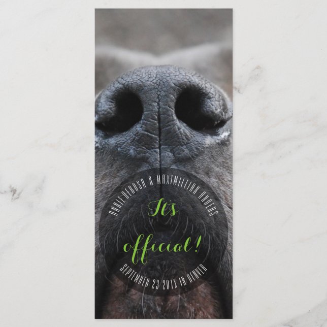 Cartões para rack (Frente)