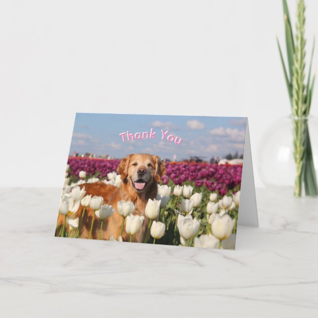 Cartões ParkerPup Obrigado (Frente)