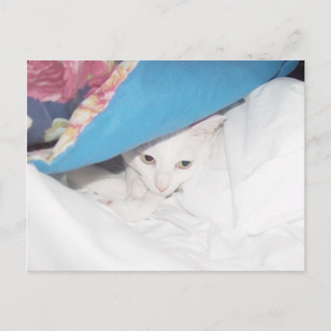 Cartões postais (Frente)