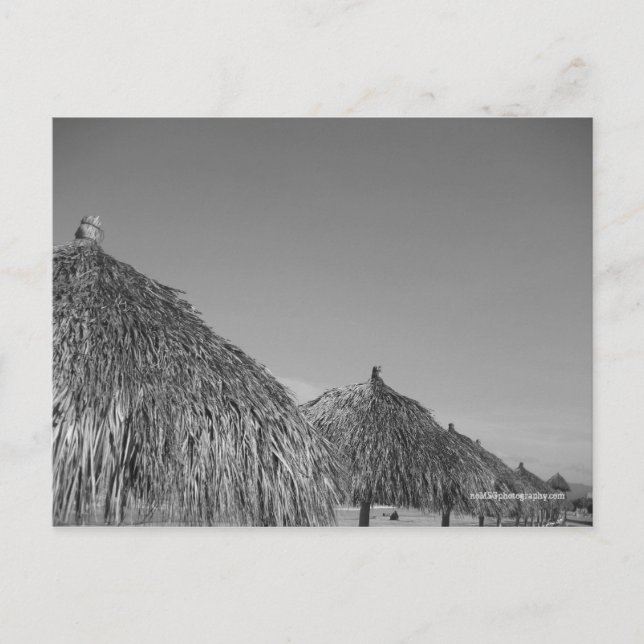 cartões postais (Frente)