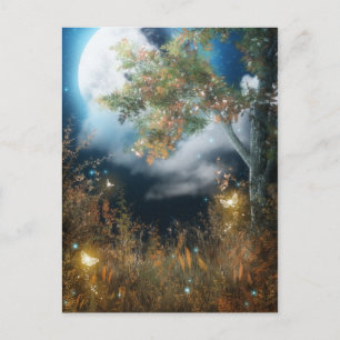 Cartões postais 12 das florestas encantadas