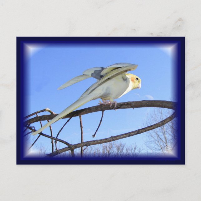 Cartões postais aerodinâmicos (Frente)