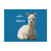 Cartões postais Alpaca