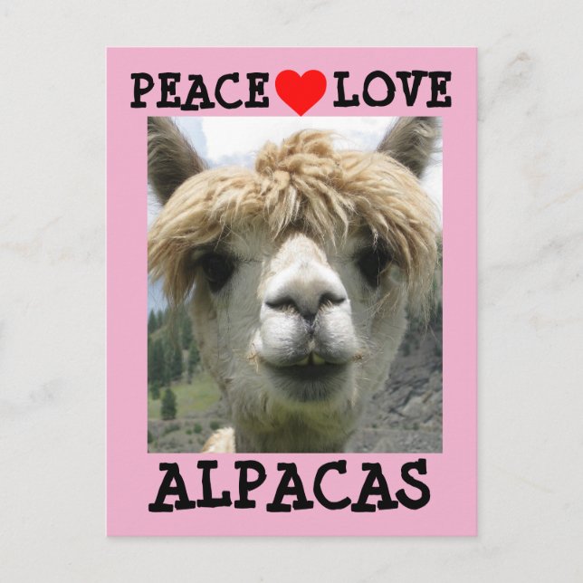 CARTÕES POSTAIS ALPACA AMOR (Frente)