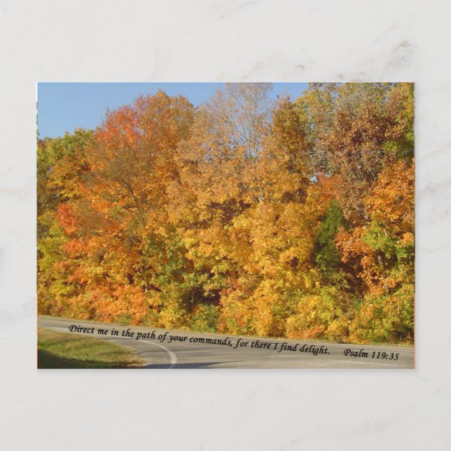 Cartões postais: Caminho para a Delícia (Frente)