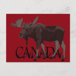 Cartões postais canadenses Moose