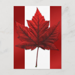 Cartões postais canadenses para sinalizador Canad