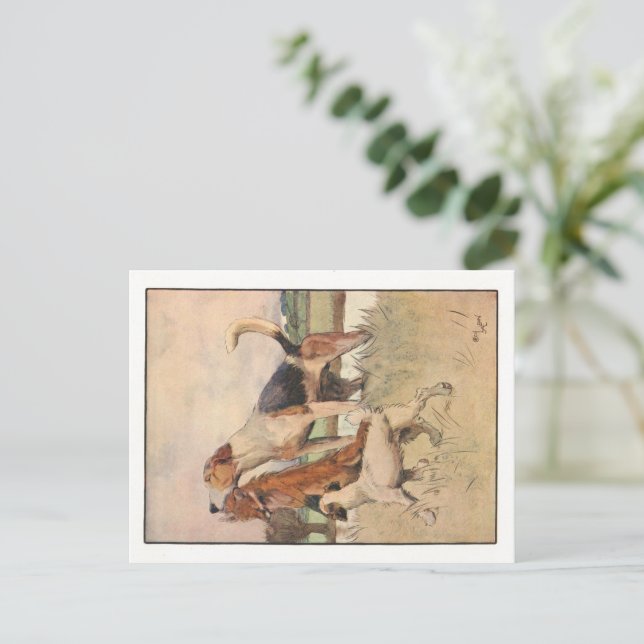 Cartões postais Cecil Aldin (Em pé/Frente)