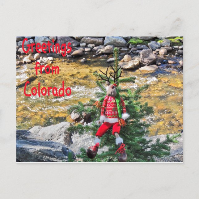 Cartões postais "Chump Christmas" (Frente)