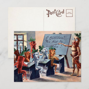 Cartões Postais da Aula de Música das Cenouras Vin