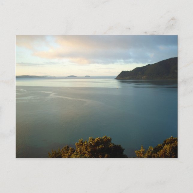 Cartões Postais da Baía da Praia de Pauanui Nova Z (Frente)