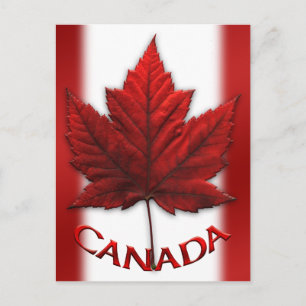 Cartões Postais da Bandeira do Canadá Cartões Post