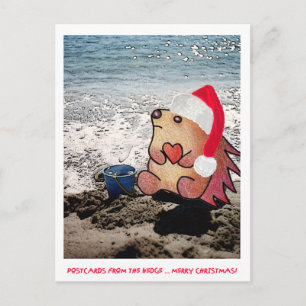 CARTÕES POSTAIS DA BORDA