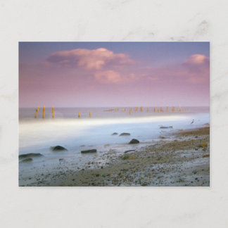 Cartões postais da "Costa Norfolk"