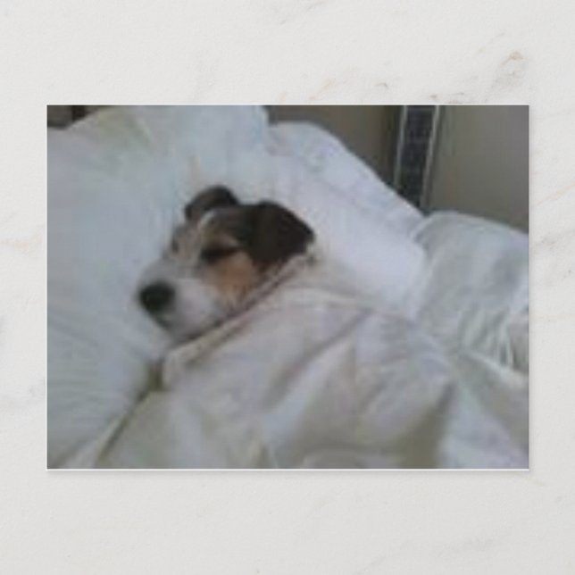 Cartões postais de alta qualidade (Frente)