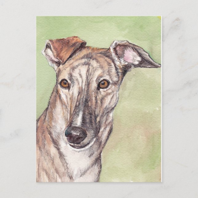 Cartões postais de arte para cães do Brindle Greyh (Frente)