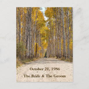 Cartões Postais de Casamento Aspen Alley No Outono